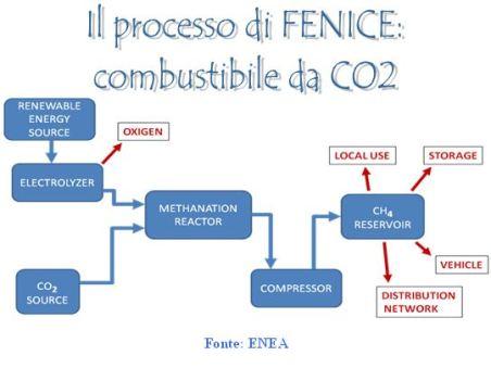 Processo di FENICE