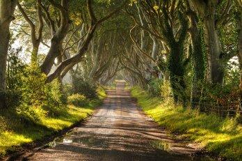 20 Tunnel naturali per una passeggiata magica