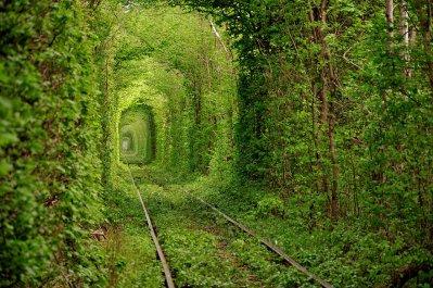 20 Tunnel naturali per una passeggiata magica
