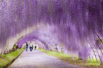 20 Tunnel naturali per una passeggiata magica