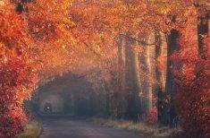 20 Tunnel naturali per una passeggiata magica