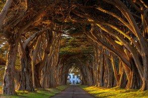 20 Tunnel naturali per una passeggiata magica