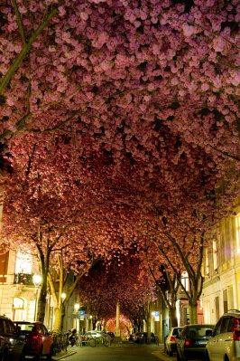 20 Tunnel naturali per una passeggiata magica