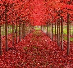 20 Tunnel naturali per una passeggiata magica