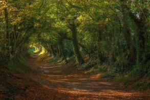 20 Tunnel naturali per una passeggiata magica