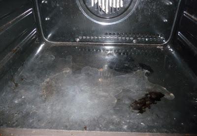 Come pulire il forno in pochi semplici spruzzi grazie a Lavaforno Mister Magic!