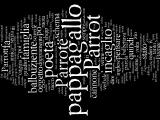 Wordle: il pappagallo balbuziente