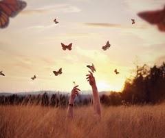 Recensione: IL PROFUMO DEL SUD di Linda Bertasi