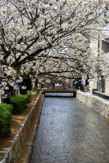 Kiyamachi, Kyoto (foto di PAtrick Colgan, 2014)