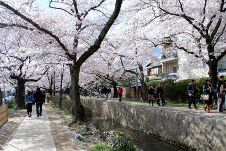 Tetsugaku no michi, il sentiero della filosofia, Kyoto