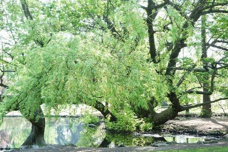 Spring in Milan: Parco Sempione