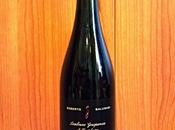 Lambrusco Grasparossa Castelvetro "Ribello" fermentazione bottiglia Roberto Balugani