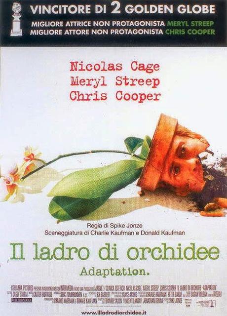 Remember Us. L'enigma Kaspar Hauser, Searching for Sugar Man, Il ladro di orchidee