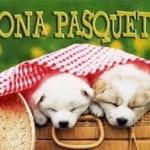 Pasquetta a misura di bimbo