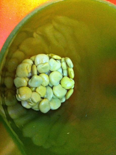 Lupini, zucchine e basilico: le vegan polpette di primavera... una scoperta irresistibile!