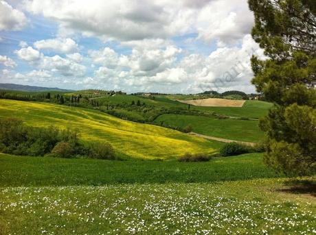 Appunti di viaggio: alla scoperta del Chianti delle colline pisane