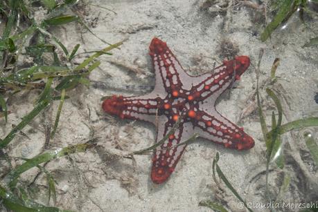 Fuori dal mondo a Murrebuè: Mozambico selvaggio