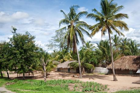 Fuori dal mondo a Murrebuè: Mozambico selvaggio