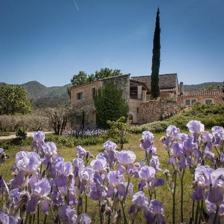 Una meravigliosa casa rurale con uliveto a Oppede Le Vieux in Provenza