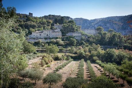 Una meravigliosa casa rurale con uliveto a Oppede Le Vieux in Provenza