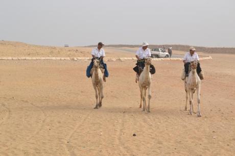 Guards riding dromedaries