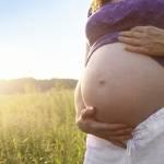 Antibiotici in gravidanza, male per il sistema immunitario del feto
