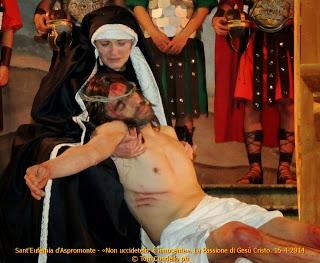 “Non uccidetelo: è innocente”. Una riflessione