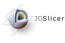 3D Slicer un potente analizzatore di immagini DICOM Open Source
