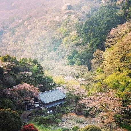 La mia esperienza di viaggio a Tokyo