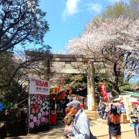 La mia esperienza di viaggio a Tokyo