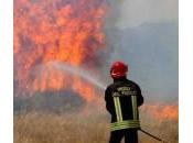 Campagne fiamme, paura Menfi