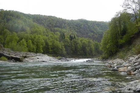 Magnificient river Sesia