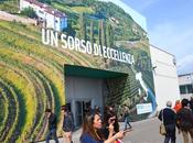 Vinitaly 2014: alla ricerca vino perfetto