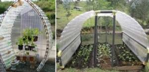 serra_bottiglie_PLASTICA