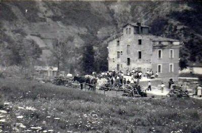 Colomba alle carote!