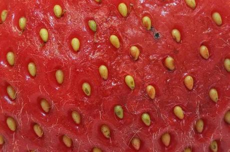 In the Street...Strawberry time...Elisa Nalin, Paris