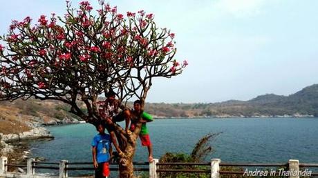 Koh Si Chang, l'isola delle scoperte