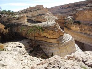 Tunisia: oasi e deserto, le parti più affascinanti di un paese che non ha solo belle località balneari, siti archeologici e interessanti città.