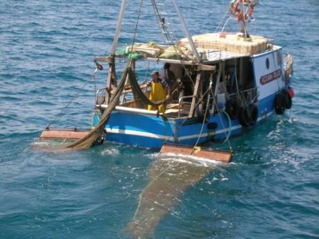 Sospensione di patente nautica, il primo caso a Torre del Greco