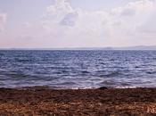 Pasquetta lago Bolsena