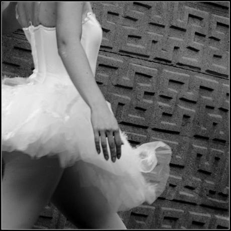Incontro fortuito ballerina-pivio