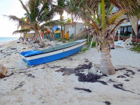 San Andrés: fra pirati e iguane