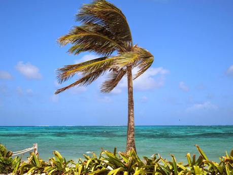 San Andrés: fra pirati e iguane