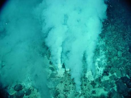 La Vita è arrivata dal Mare e non dal Brodo Primordiale