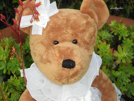 Teddy fa una passeggiata in giardino