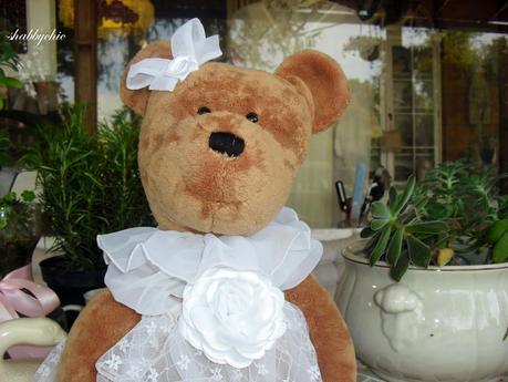 Teddy fa una passeggiata in giardino