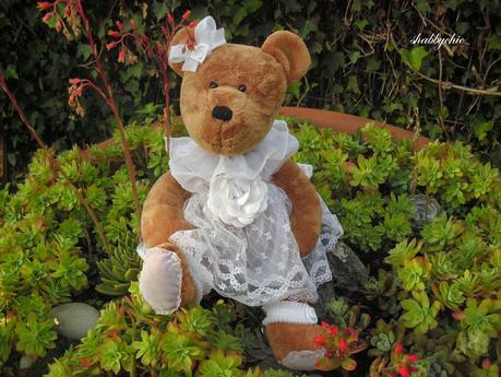 Teddy fa una passeggiata in giardino