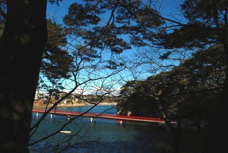 Un ponte fra i pini (foto di Patrick Colgan, 2014)