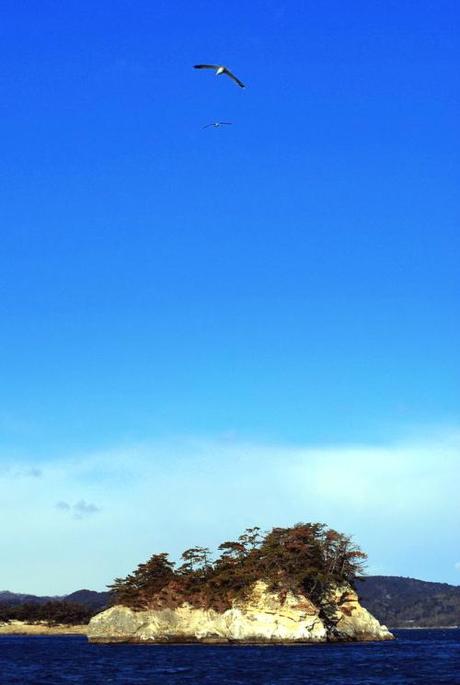 Matsushima (foto di Patrick Colgan, 2014)