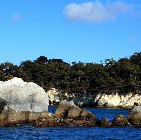 Matsushima (foto di Patrick Colgan, 2014)